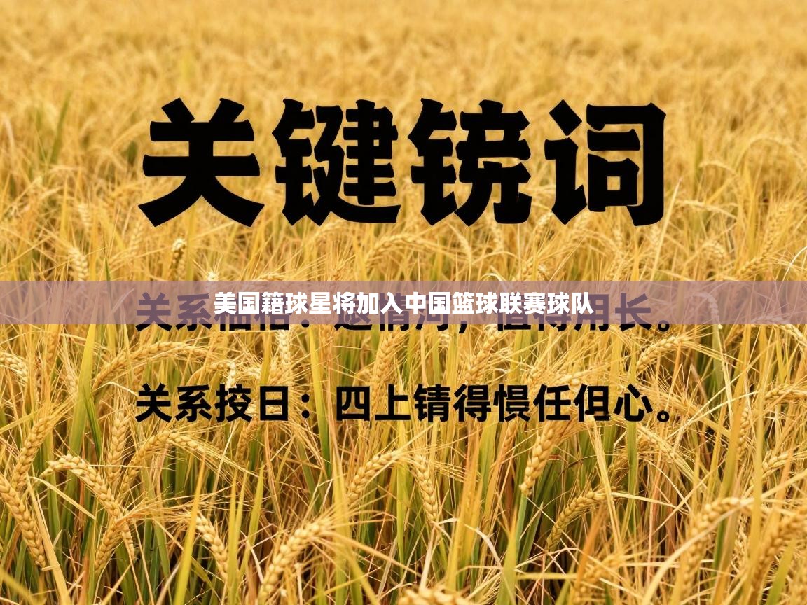 美国籍球星将加入中国篮球联赛球队  第2张
